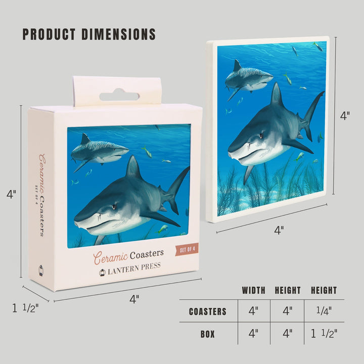 Tiger Shark, Coasters Coasters Lantern Press