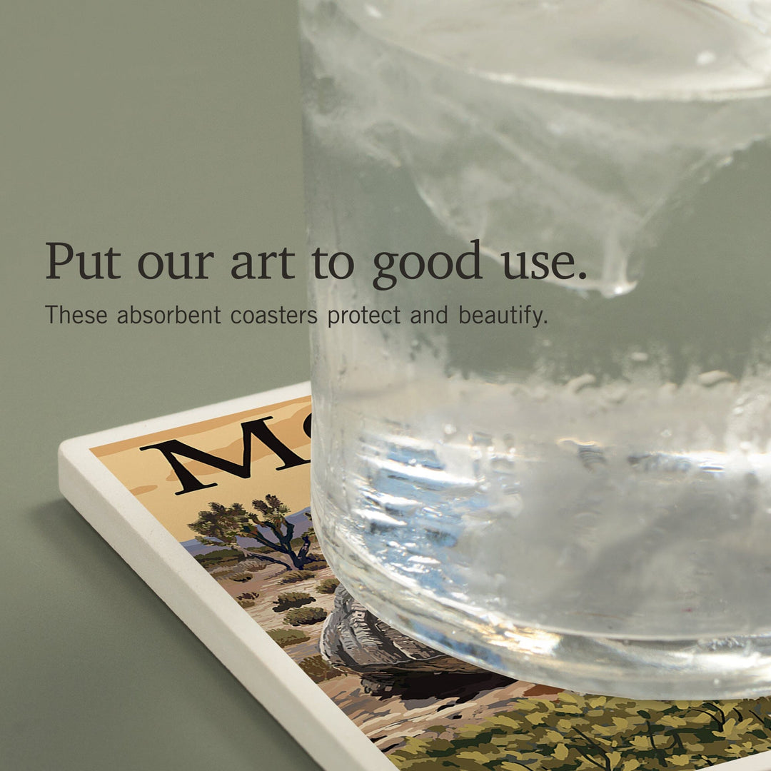 Tortoise, Mojave National Preserve, California, Coasters Coasters Lantern Press