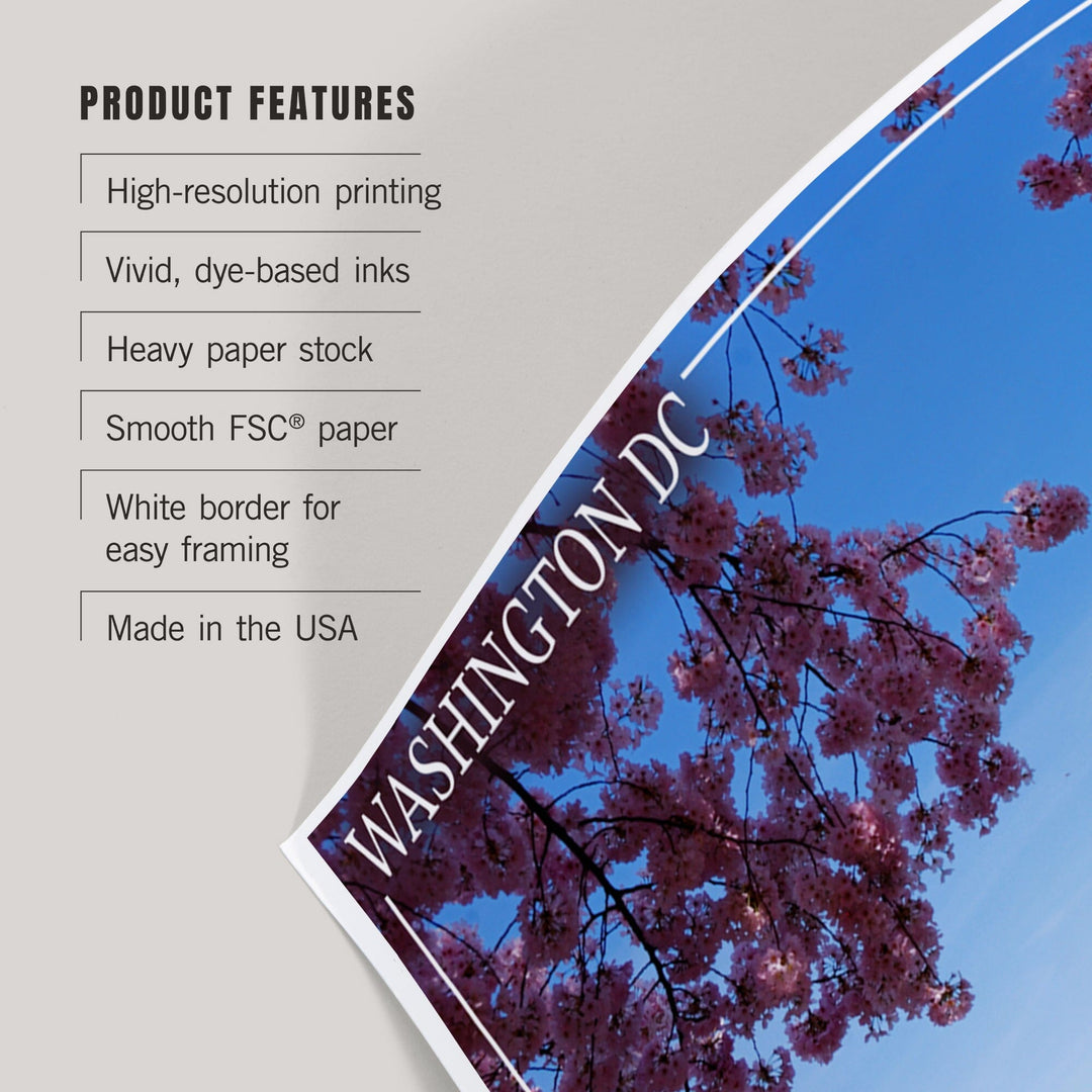 Washington Monument and Cherry Blossoms, Washington DC, Art & Giclee Prints Art Lantern Press