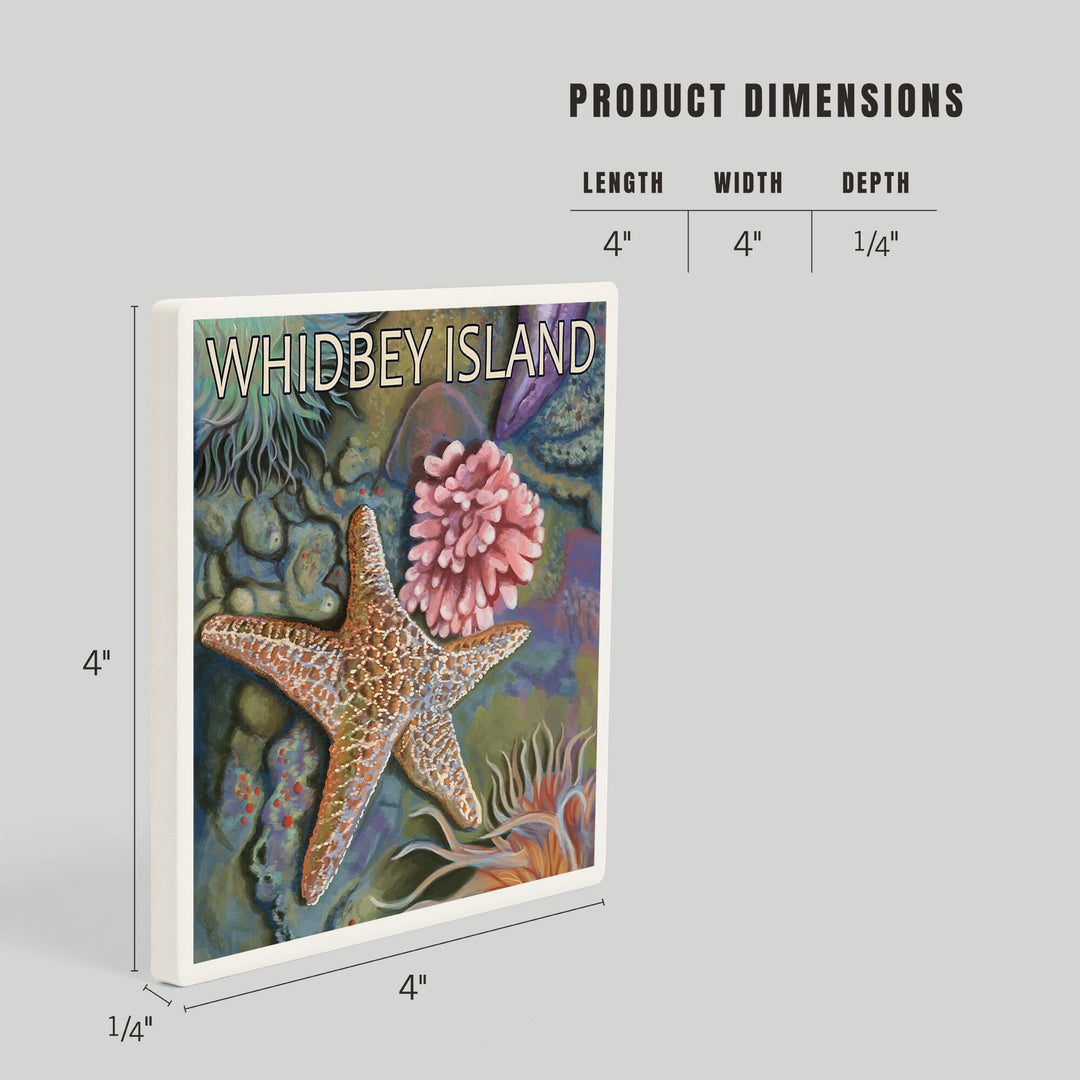 Whidbey Island, Washington, Tidepool, Coasters Coasters Lantern Press