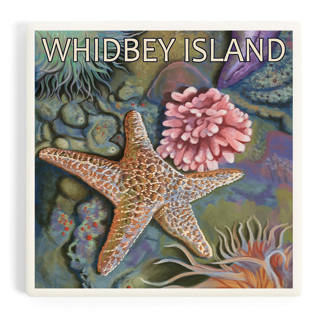 Whidbey Island, Washington, Tidepool, Coasters Coasters Lantern Press Coaster