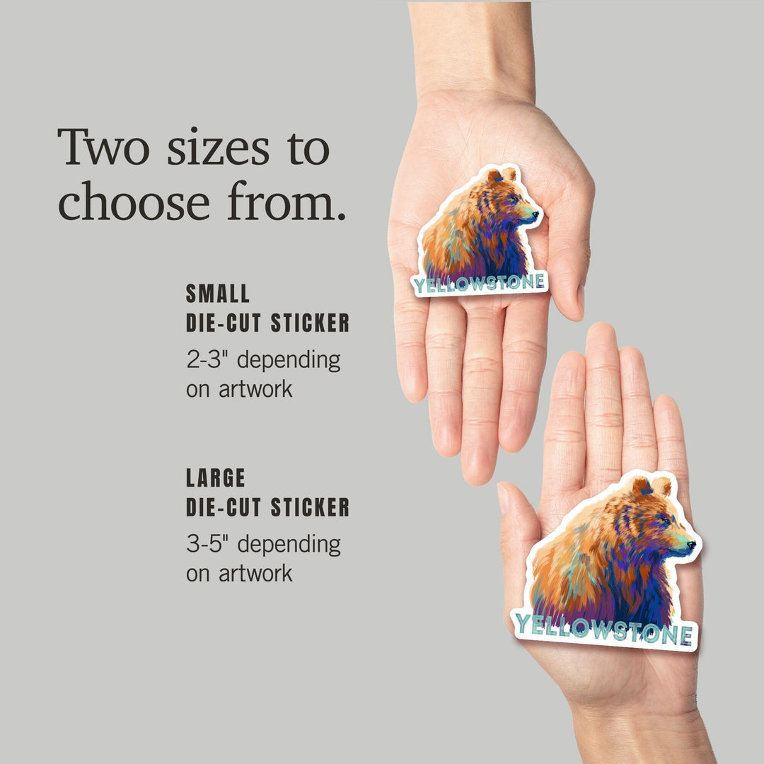 Yellowstone National Park, Wyoming, Grizzly Bear, Vivid, Contour, Lantern Press Artwork, Vinyl Sticker Sticker Lantern Press