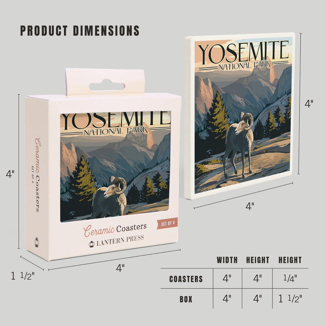 Yosemite National Park, California, Big Horn Sheep, Coasters Coasters Lantern Press