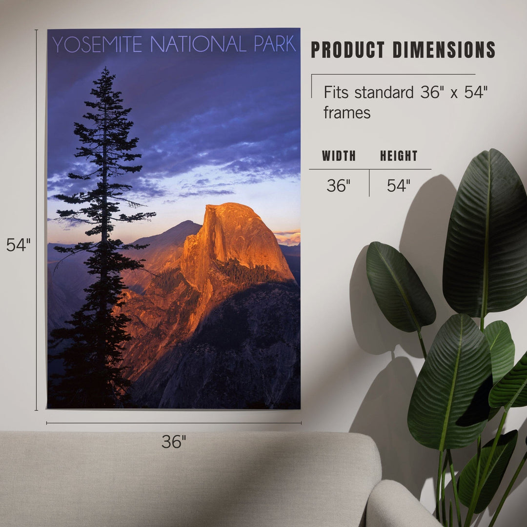 Yosemite National Park, California, Half Dome and Pine Tree, Art & Giclee Prints Art Lantern Press