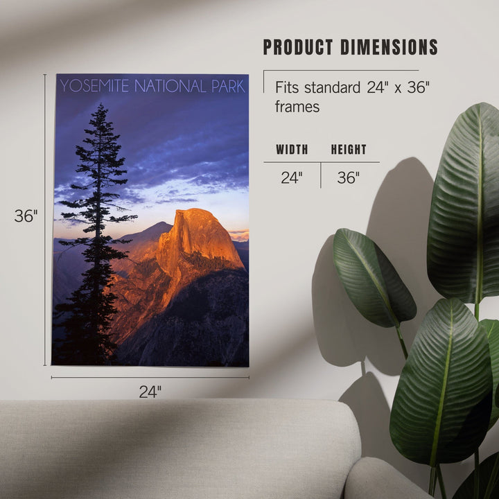 Yosemite National Park, California, Half Dome and Pine Tree, Art & Giclee Prints Art Lantern Press