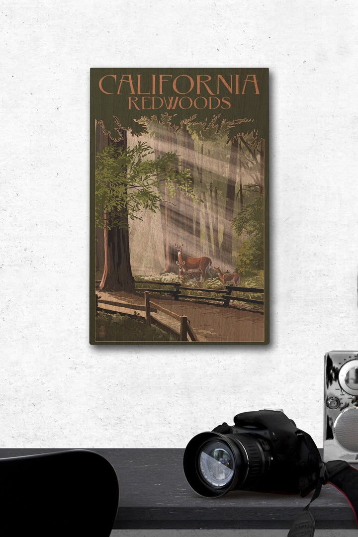 California, Redwoods & Deer, Lantern Press Artwork, Wood Signs and Postcards - Lantern Press