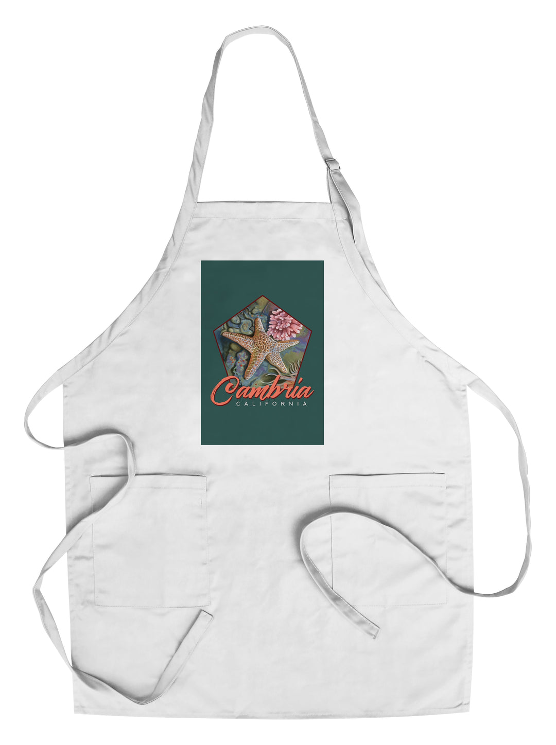 Cambria, California, Tidepool, Contour, Organic Cotton Kitchen Tea Towels - Lantern Press
