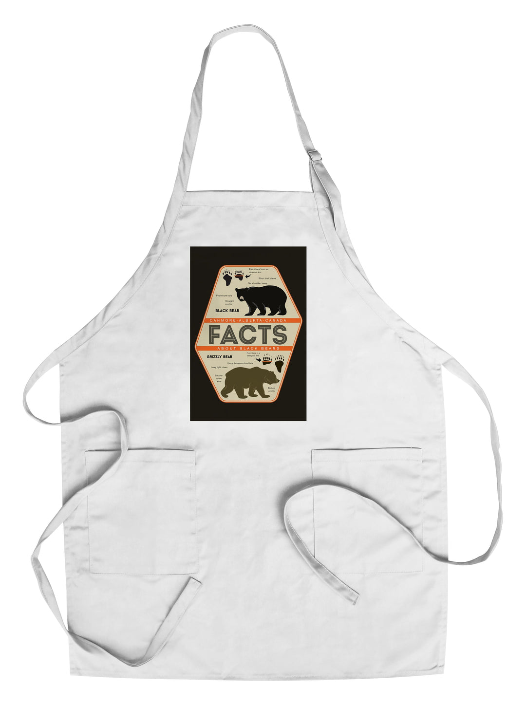 Canmore, Alberta, Canada, Facts About Bears, Grizzly and Black Bear, Contour, Organic Cotton Kitchen Tea Towels - Lantern Press