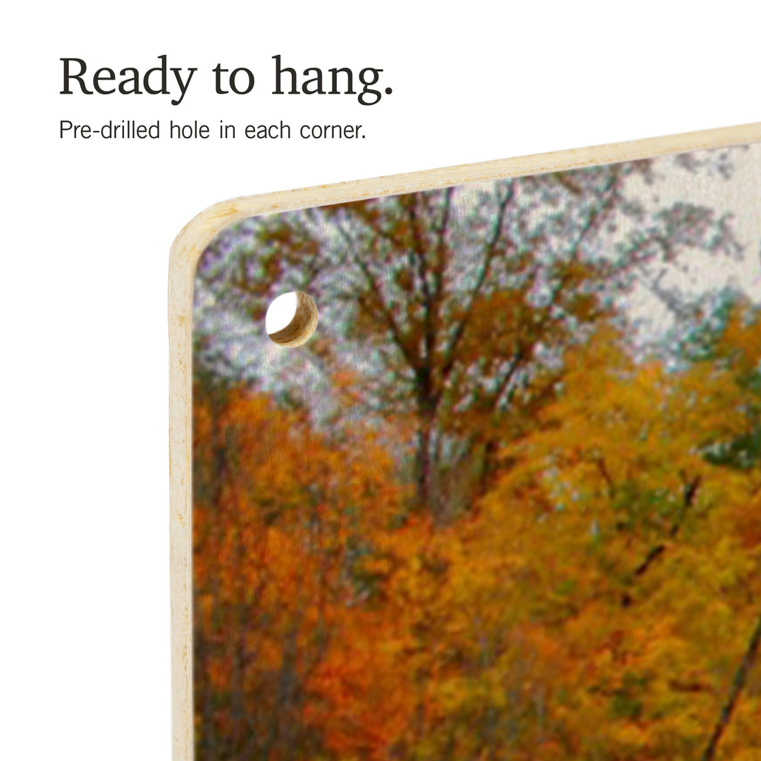 Cuyahoga Valley National Park, Ohio, Fall Foliage & Bridge, Lantern Press Photography, Wood Signs and Postcards - Lantern Press