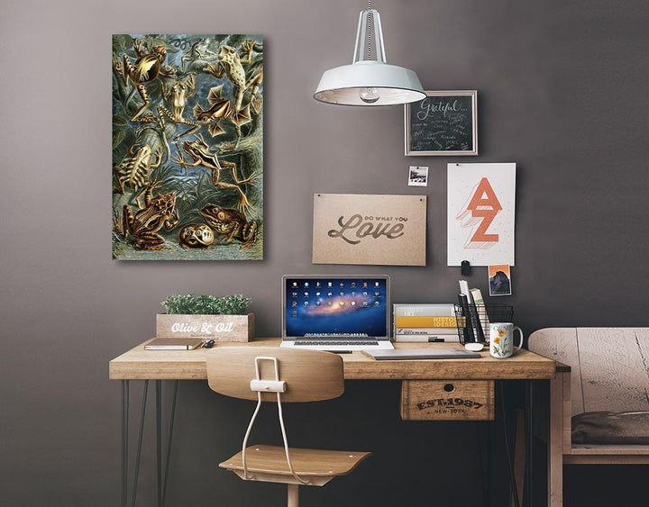 Ernst Haeckel, Batrachia, Lantern Press Artwork, Stretched Canvas - Lantern Press