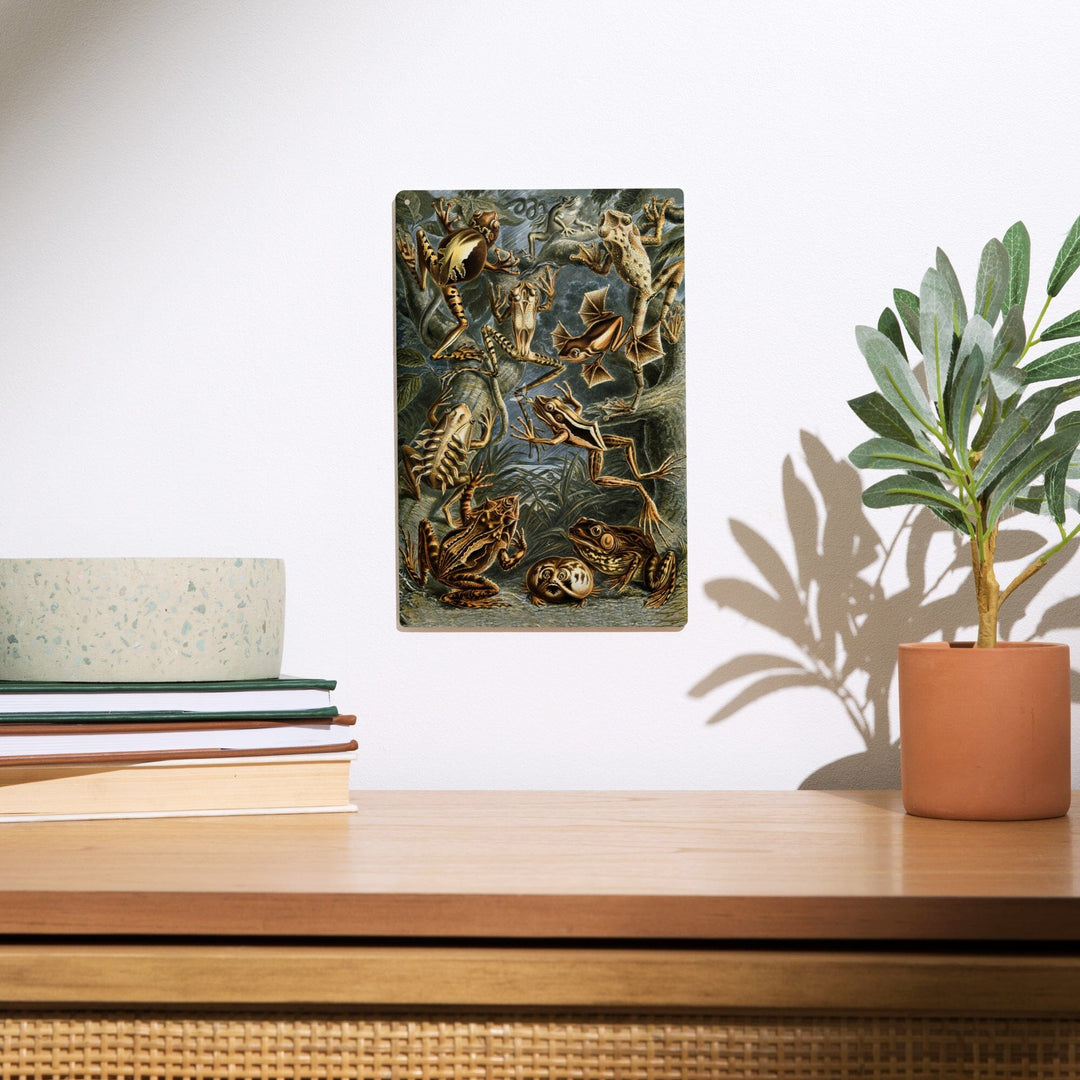 Ernst Haeckel, Batrachia, Lantern Press Artwork, Wood Signs and Postcards - Lantern Press