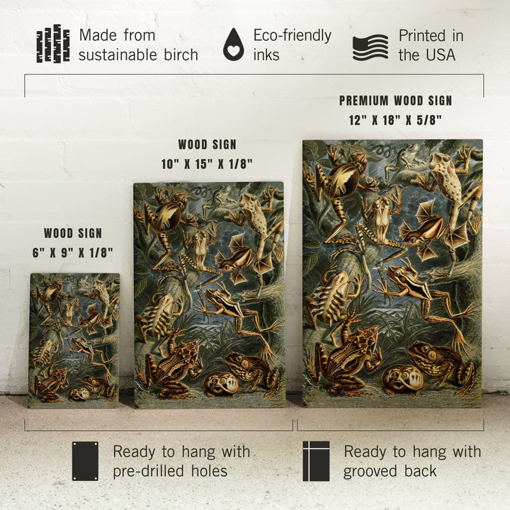 Ernst Haeckel, Batrachia, Lantern Press Artwork, Wood Signs and Postcards - Lantern Press