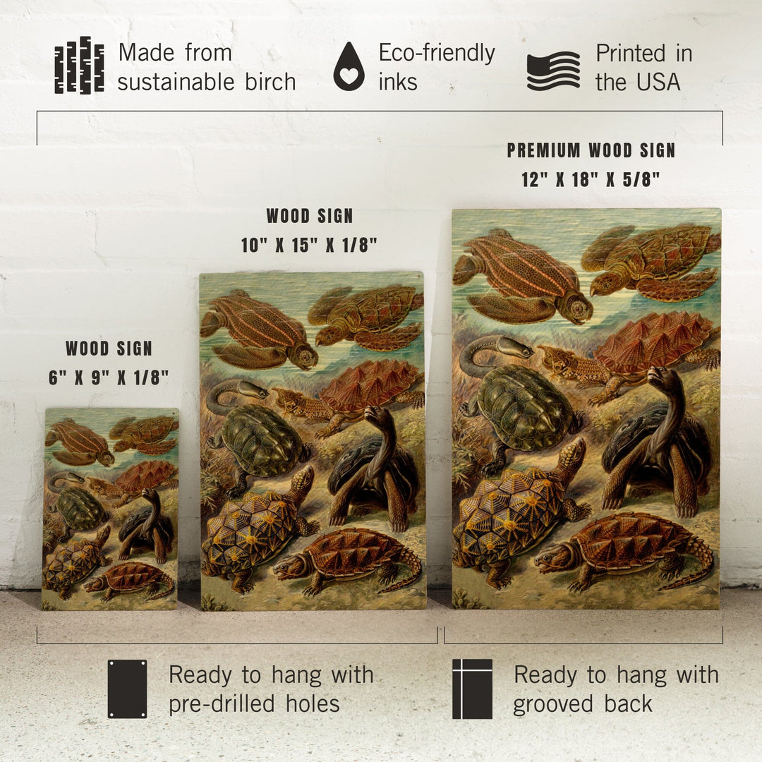 Ernst Haeckel, Chelonia, Lantern Press Artwork, Wood Signs and Postcards - Lantern Press