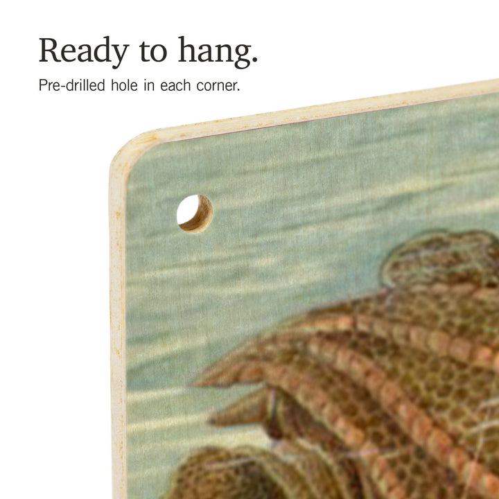 Ernst Haeckel, Chelonia, Lantern Press Artwork, Wood Signs and Postcards - Lantern Press