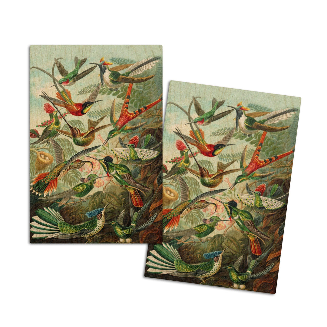 Ernst Haeckel, Trochilidae, Lantern Press Artwork, Wood Signs and Postcards - Lantern Press