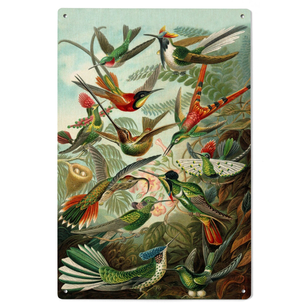Ernst Haeckel, Trochilidae, Lantern Press Artwork, Wood Signs and Postcards - Lantern Press