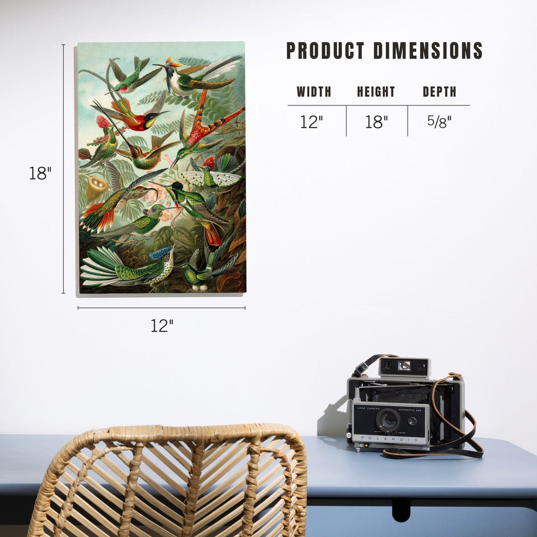 Ernst Haeckel, Trochilidae, Lantern Press Artwork, Wood Signs and Postcards - Lantern Press