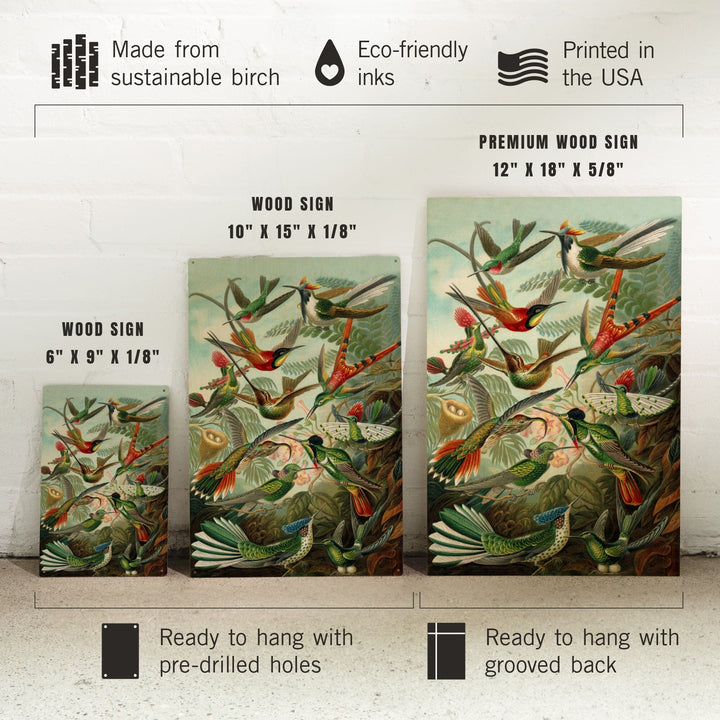 Ernst Haeckel, Trochilidae, Lantern Press Artwork, Wood Signs and Postcards - Lantern Press