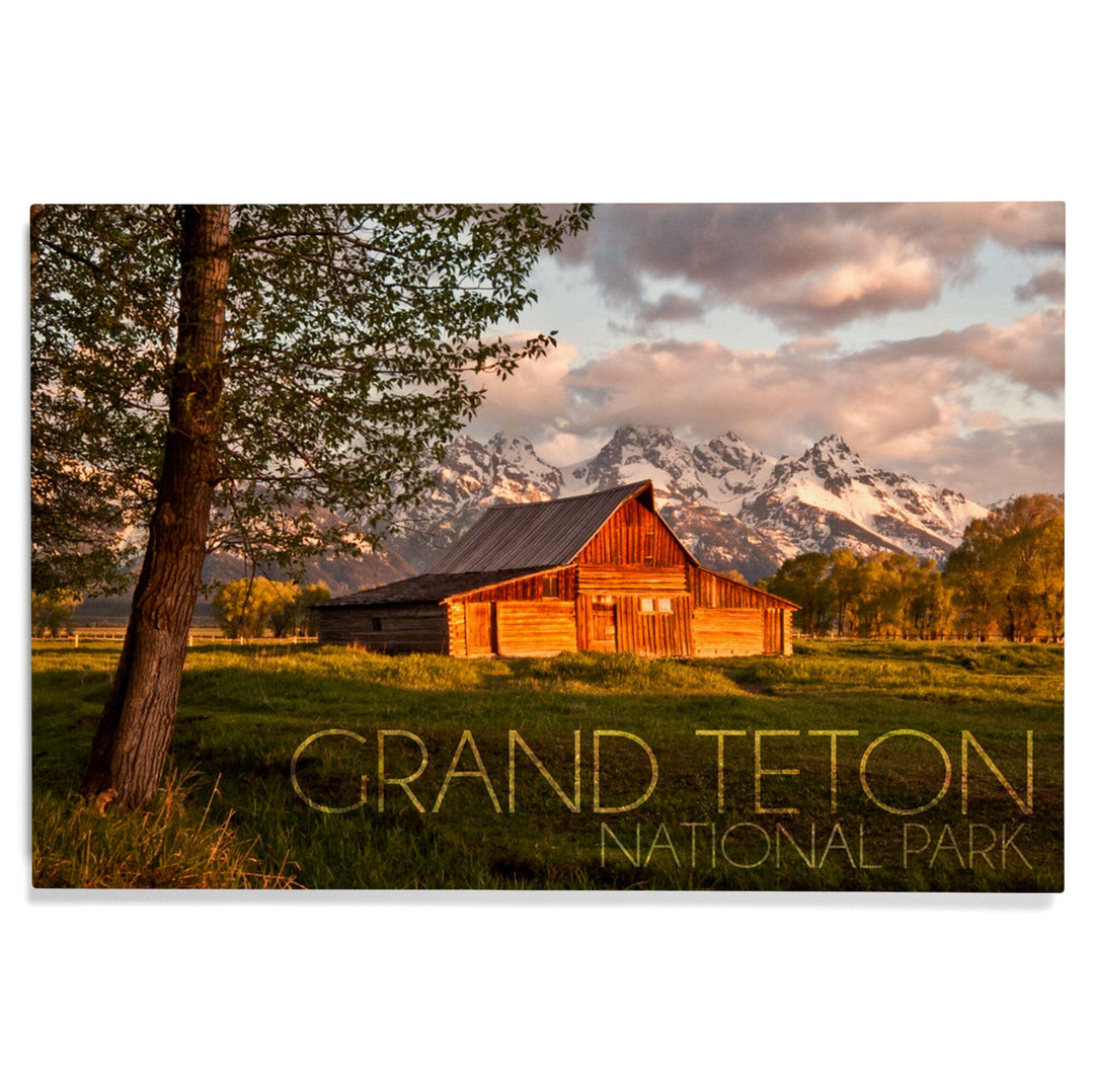 Grand Teton National Park, Wyoming, Barn & Tree, Lantern Press Photography, Wood Signs and Postcards - Lantern Press