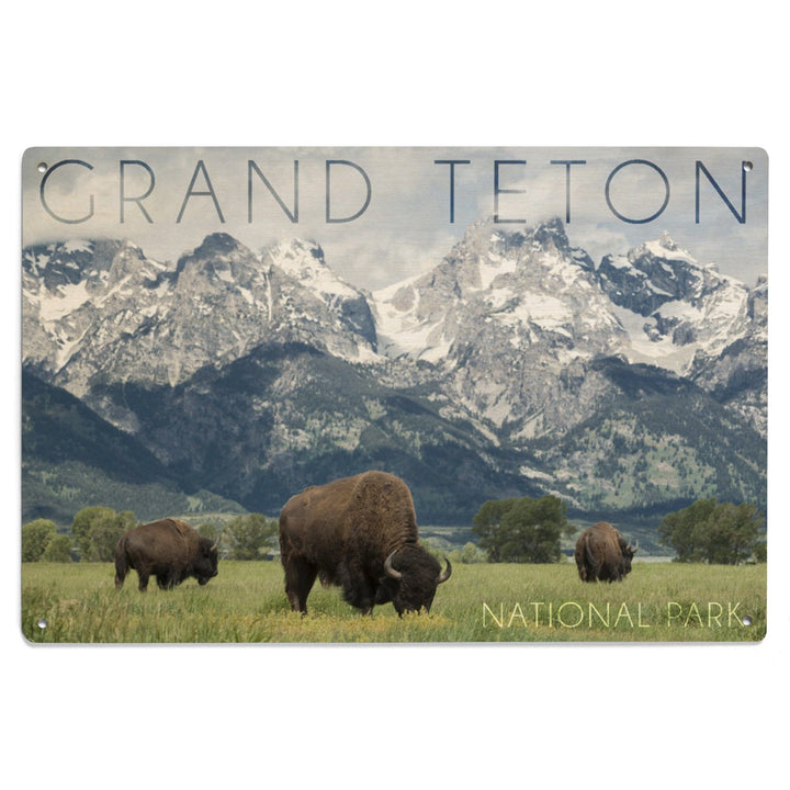 Grand Teton National Park, Wyoming, Buffalo & Mountain Scene, Lantern Press Photography, Wood Signs and Postcards - Lantern Press