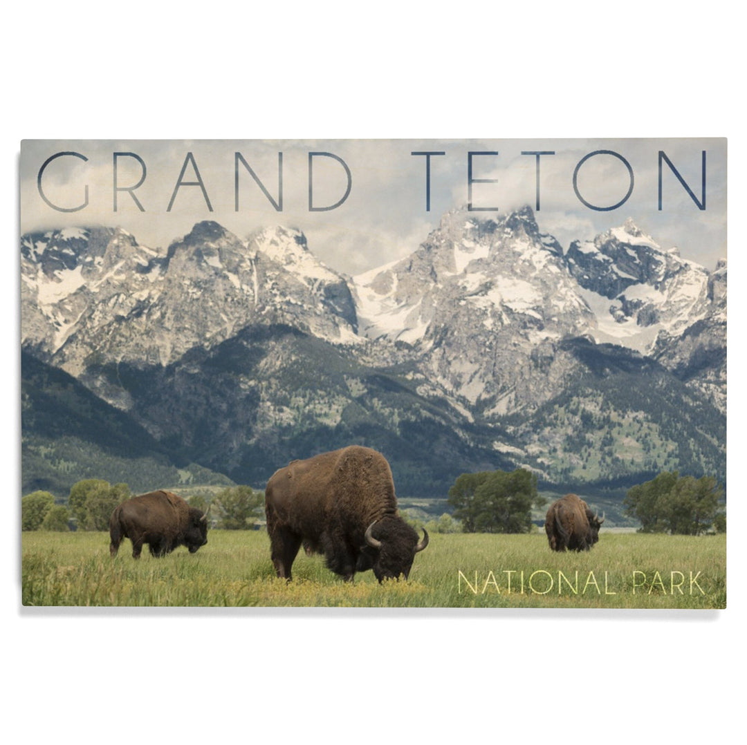Grand Teton National Park, Wyoming, Buffalo & Mountain Scene, Lantern Press Photography, Wood Signs and Postcards - Lantern Press