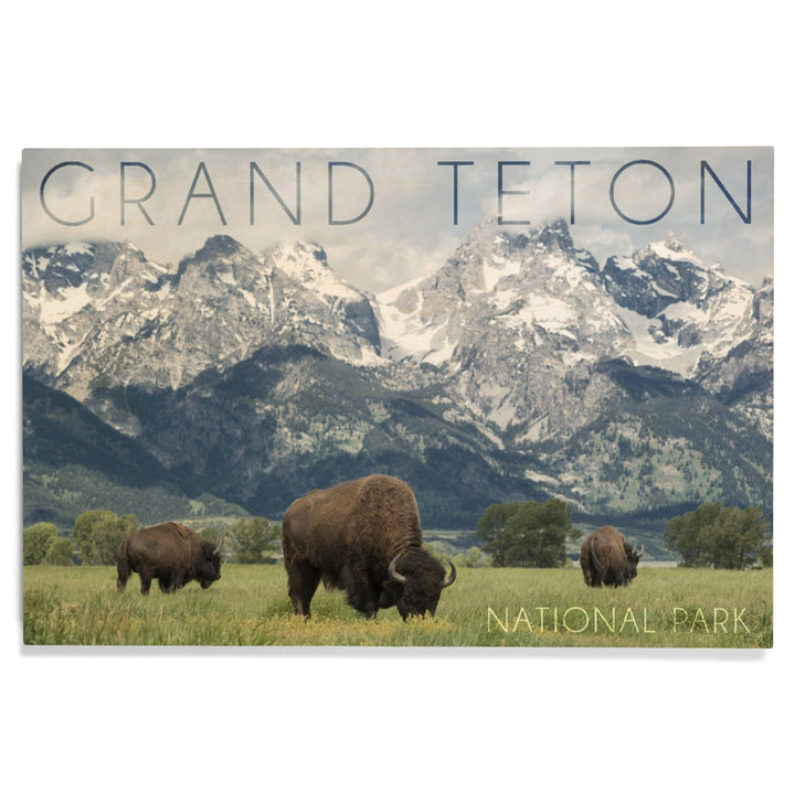 Grand Teton National Park, Wyoming, Buffalo & Mountain Scene, Lantern Press Photography, Wood Signs and Postcards - Lantern Press