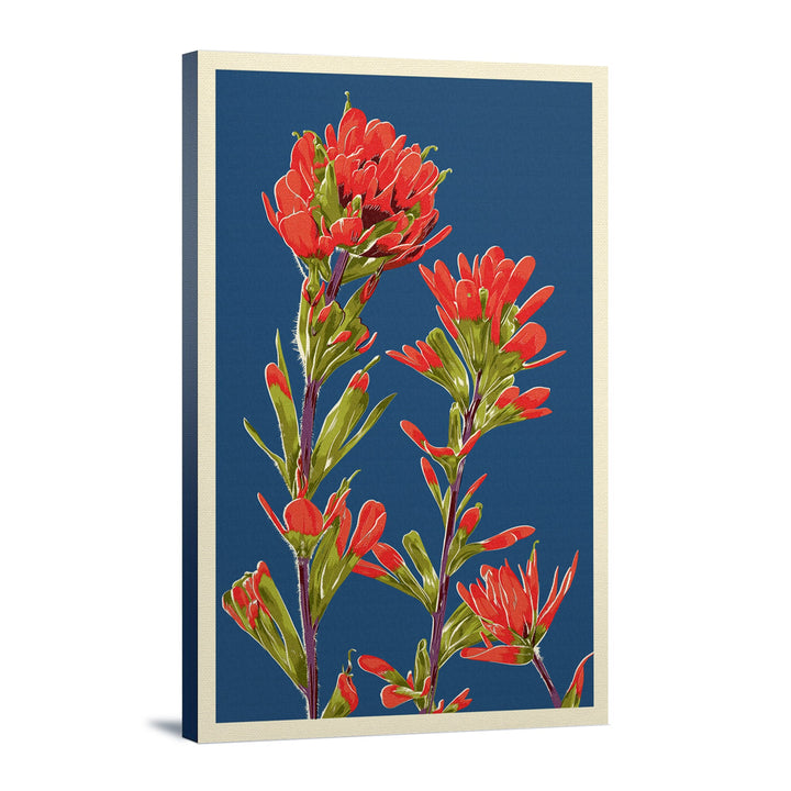 Indian Paintbrush, Letterpress, Lantern Press Artwork, Stretched Canvas - Lantern Press