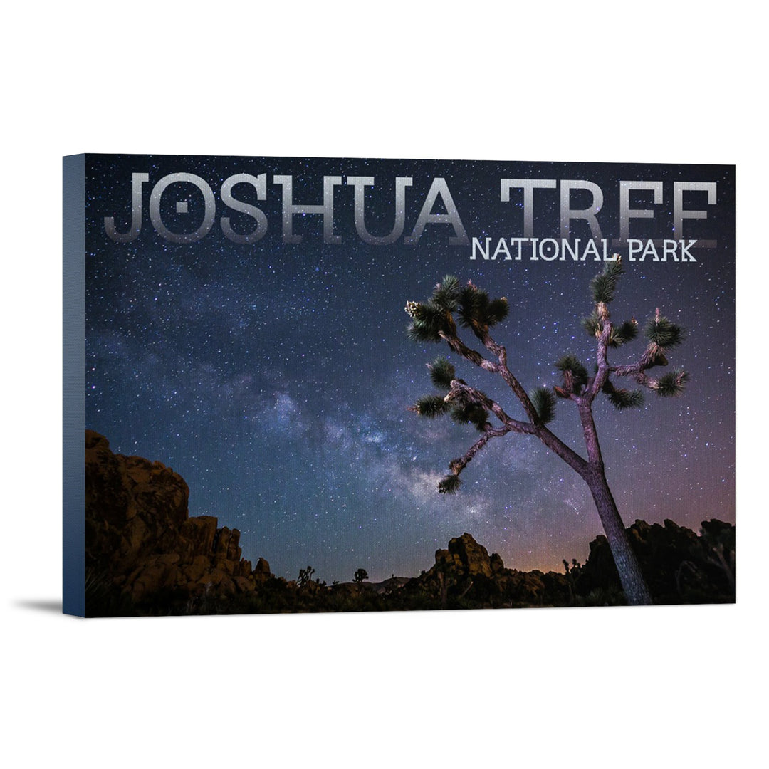Joshua Tree National Park, California, Milky Way, Lantern Press Photography, Stretched Canvas - Lantern Press