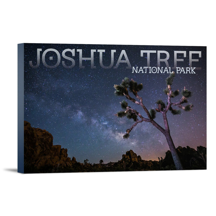 Joshua Tree National Park, California, Milky Way, Lantern Press Photography, Stretched Canvas - Lantern Press