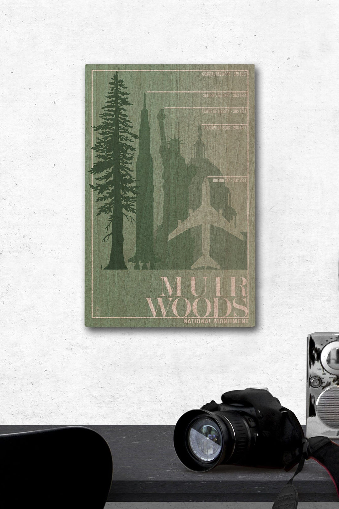 Muir Woods National Monument, California, Relative Sizes of the Redwood Tree, Wood Signs and Postcards Wood Lantern Press 12 x 18 Wood Gallery Print