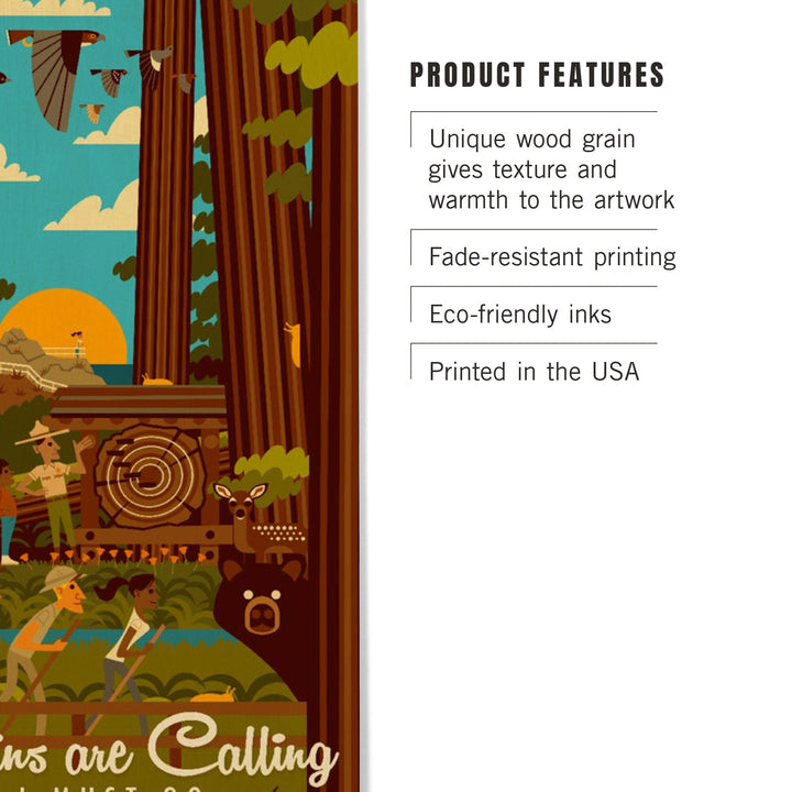 Muir Woods National Monument, California, The Mountains are Calling, Geometric, Lantern Press, Wood Signs and Postcards Wood Lantern Press