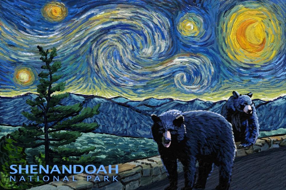 Shenandoah National Park, Virginia, Starry Night National Park Series, Lantern Press Artwork, Art Prints and Metal Signs Art Lantern Press 12 x 18 Art Print