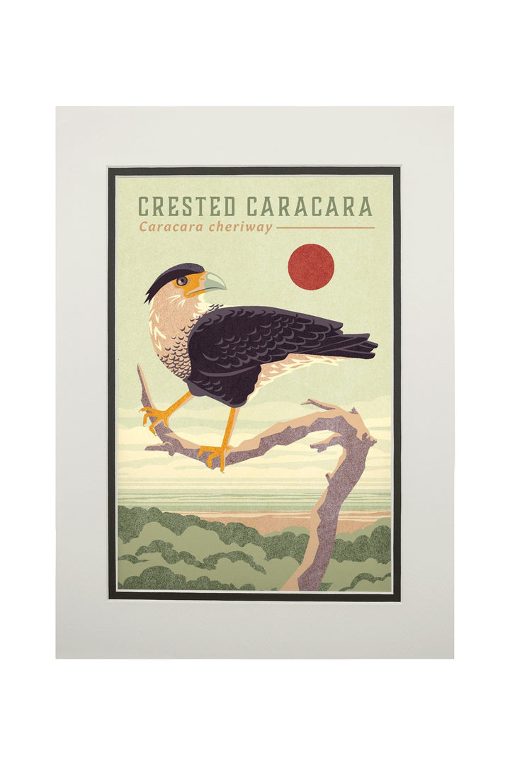 Shorebirds at Sunset Collection, Crested Caracara, Bird, Art Prints and Metal Signs Art Lantern Press 11 x 14 Matted Art Print
