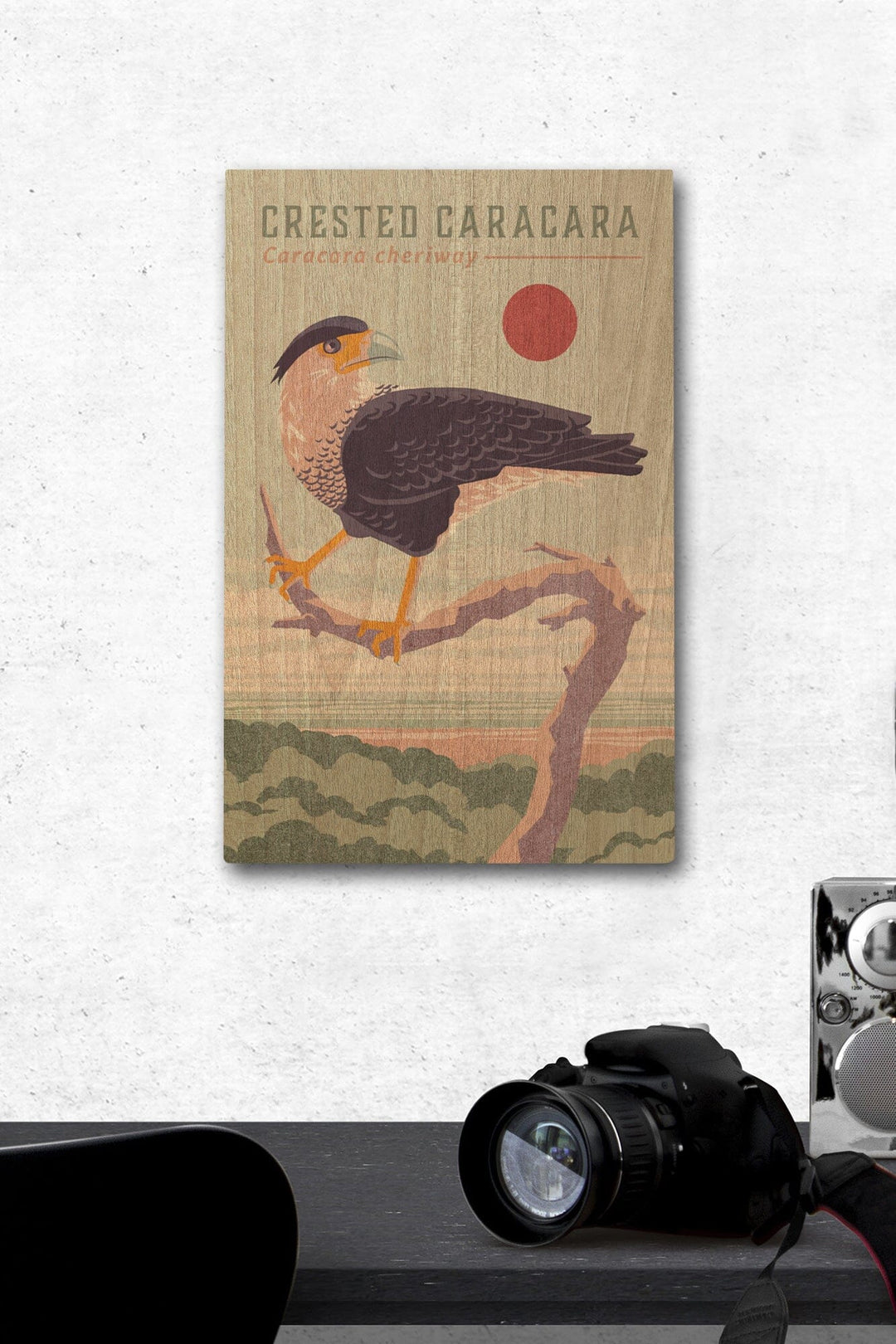 Shorebirds at Sunset Collection, Crested Caracara, Bird, Wood Signs and Postcards Wood Lantern Press 12 x 18 Wood Gallery Print