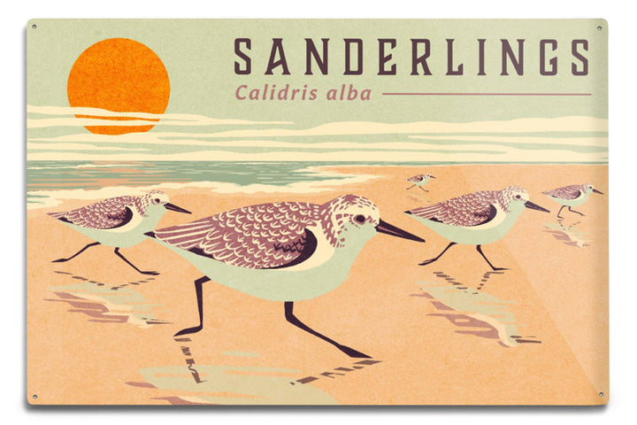 Shorebirds at Sunset Collection, Sanderlings, Birds, Art Prints and Metal Signs Art Lantern Press 8 x 12 Art Print