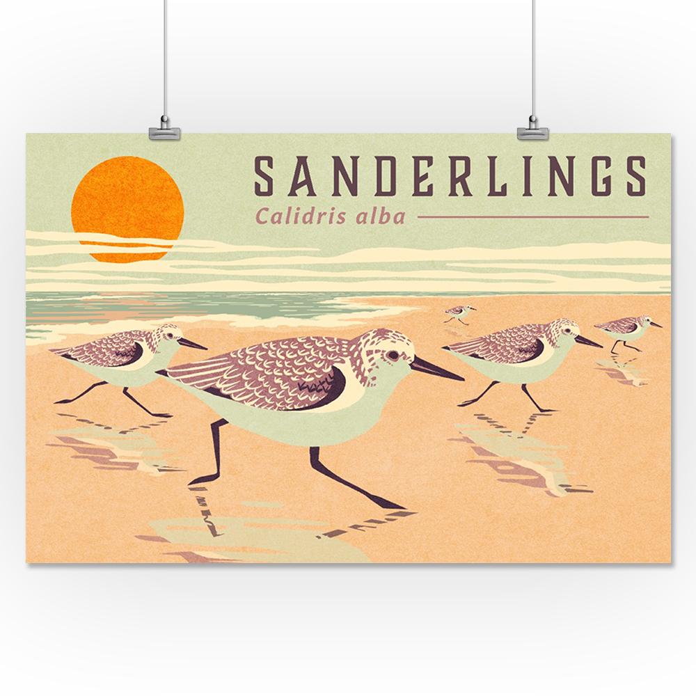 Shorebirds at Sunset Collection, Sanderlings, Birds, Art Prints and Metal Signs Art Lantern Press 16 x 24 Giclee Print