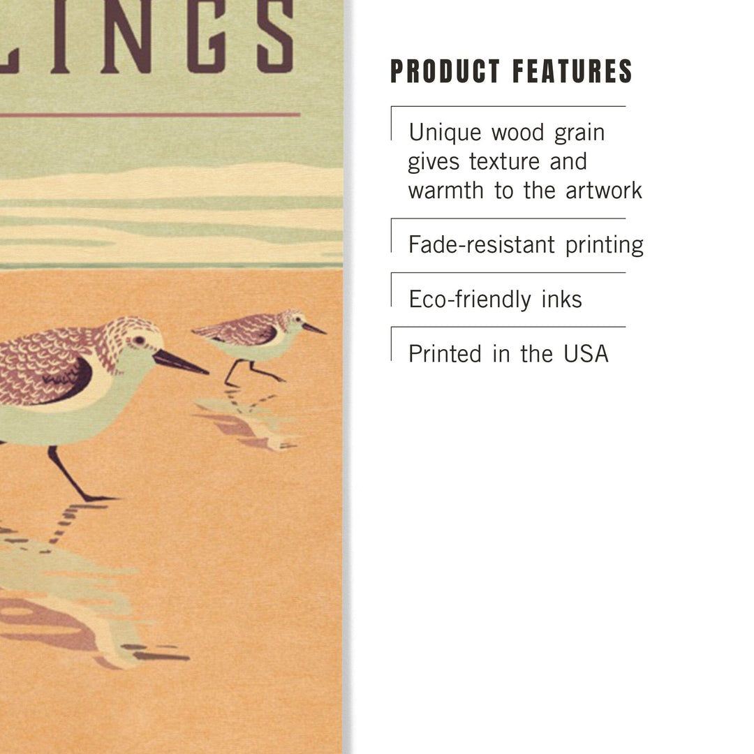 Shorebirds at Sunset Collection, Sanderlings, Birds, Wood Signs and Postcards Wood Lantern Press