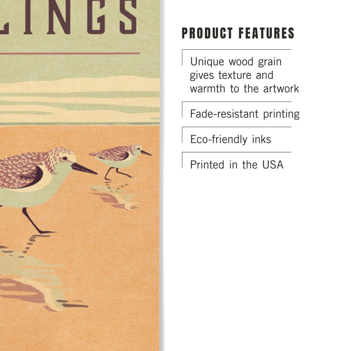 Shorebirds at Sunset Collection, Sanderlings, Birds, Wood Signs and Postcards Wood Lantern Press