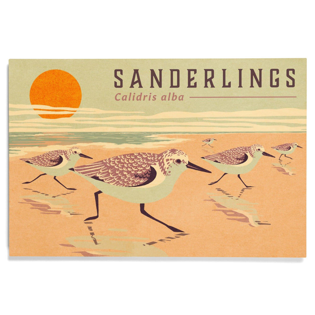 Shorebirds at Sunset Collection, Sanderlings, Birds, Wood Signs and Postcards Wood Lantern Press