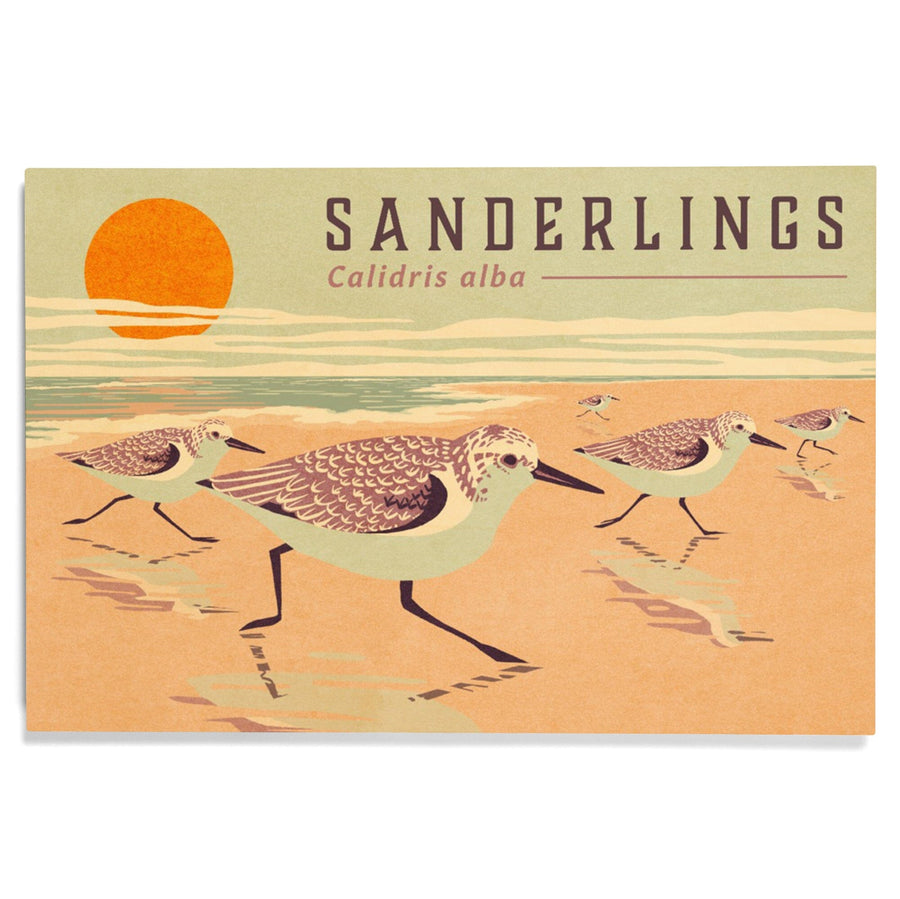 Shorebirds at Sunset Collection, Sanderlings, Birds, Wood Signs and Postcards Wood Lantern Press