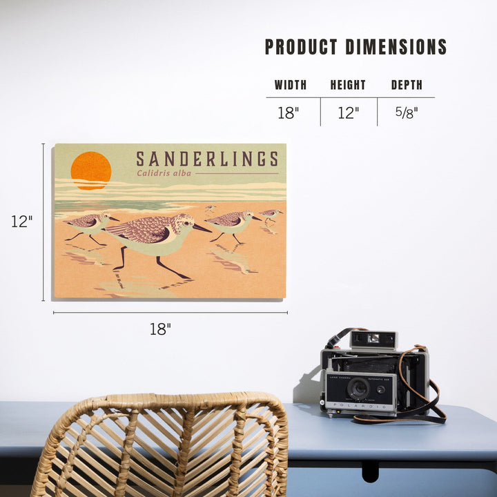 Shorebirds at Sunset Collection, Sanderlings, Birds, Wood Signs and Postcards Wood Lantern Press