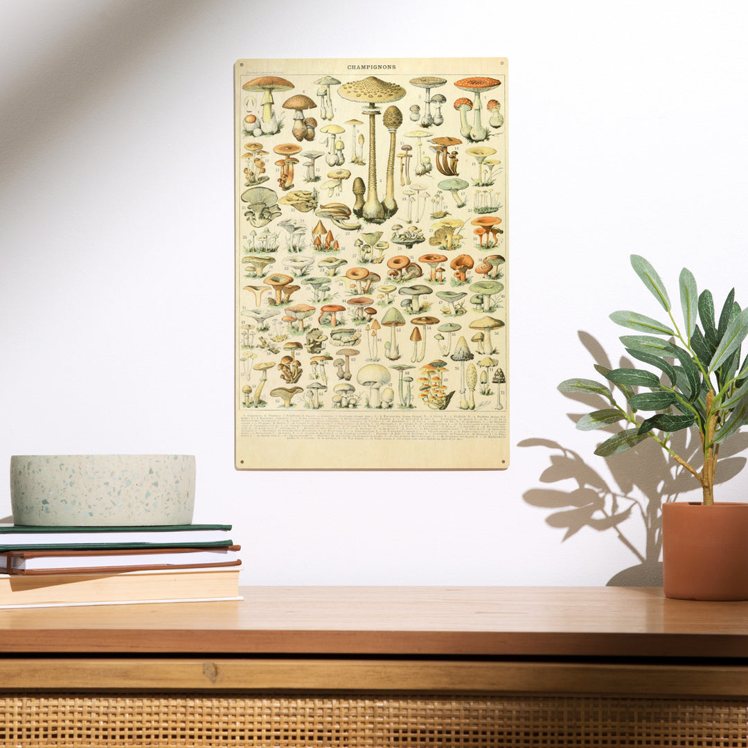 Mushrooms, B, Vintage Bookplate, Adolphe Millot, Wood Sign and Postcards