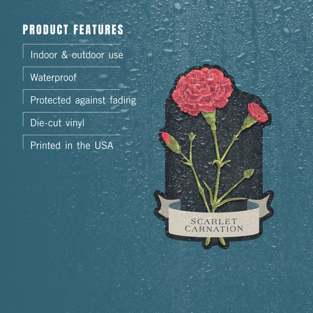 Vintage Flora Noir, Scarlet Carnation, Vinyl Sticker