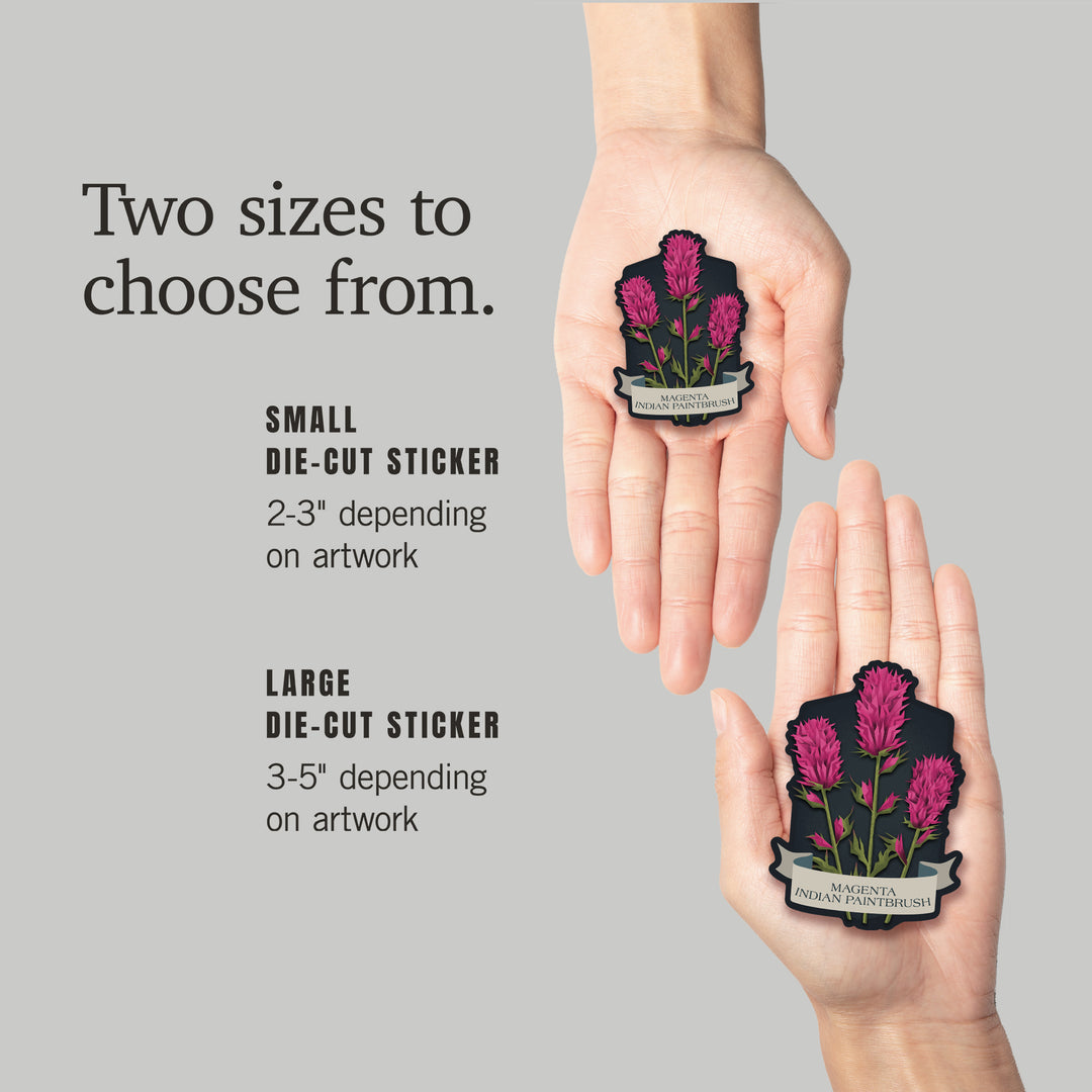Vintage Flora Noir, Magenta Indian Paintbrush, Vinyl Sticker