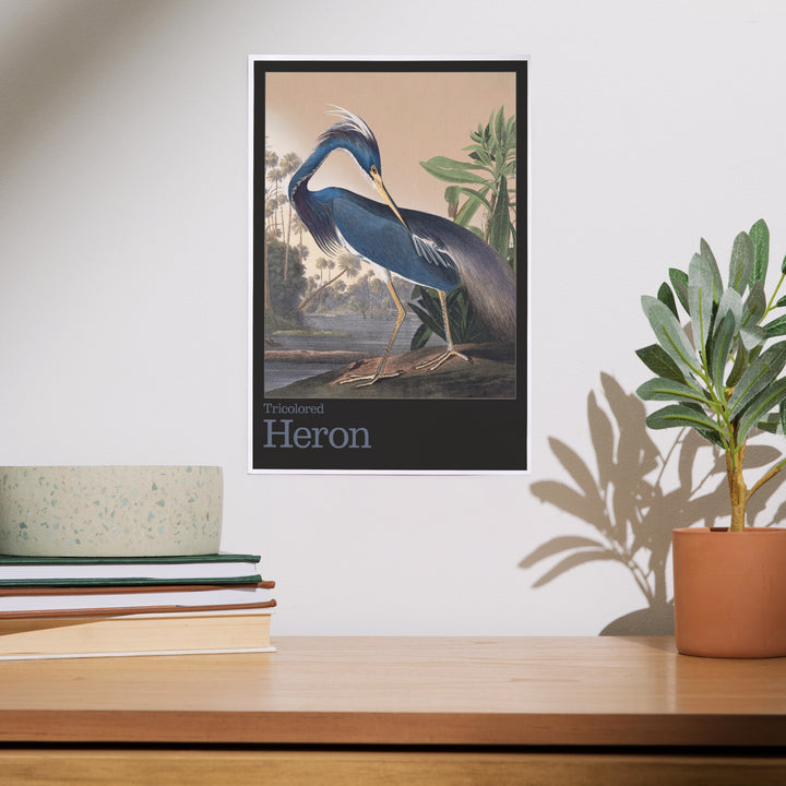 Audubon Birds of North America, Heron, Art & Giclee Prints