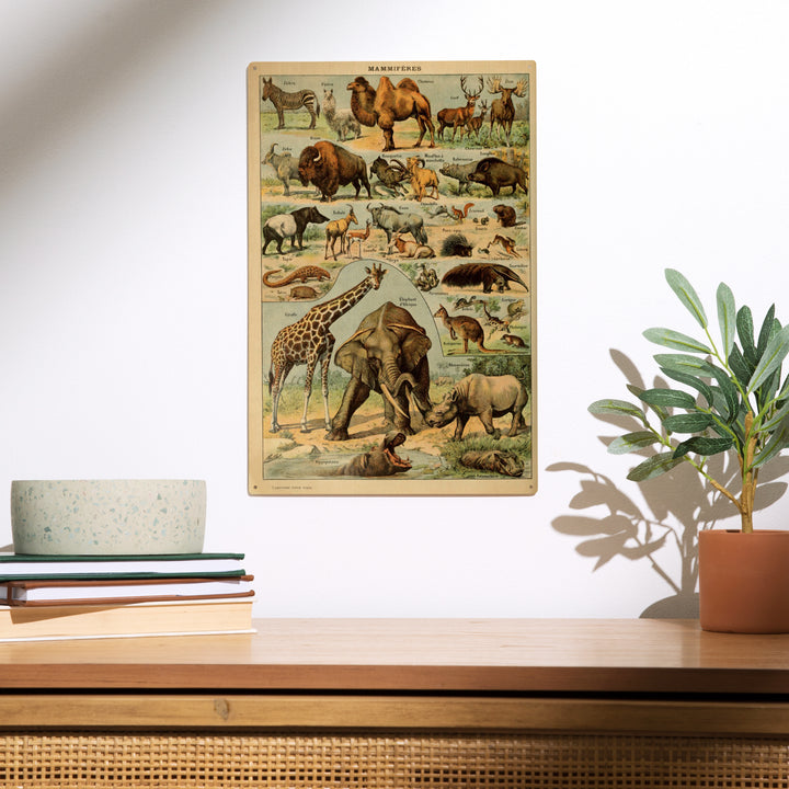 Mammals, B, Vintage Bookplate, Adolphe Millot, Wood Sign and Postcards