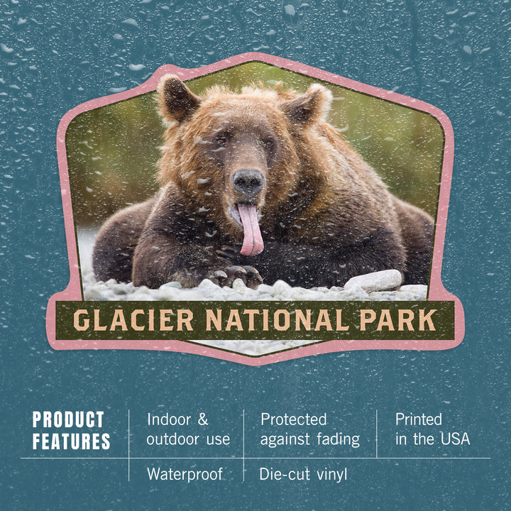 Glacier National Park, Montana, Grizzly Bear with Tongue Out, Contour, Lantern Press Photography, Vinyl Sticker