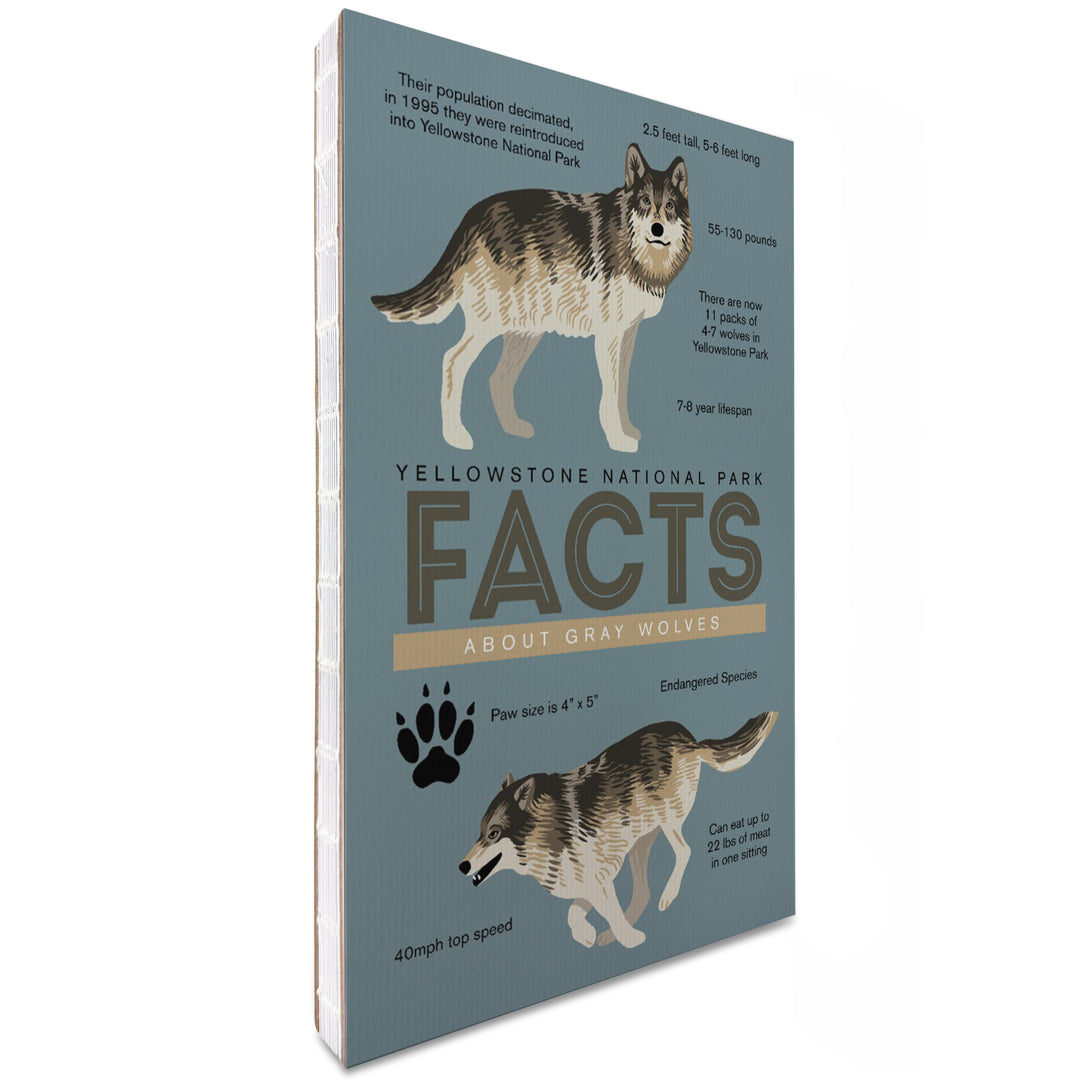 Lined 6x9 Journal, Yellowstone National Park, Facts About Gray Wolves, Lay Flat, 193 Pages, FSC paper