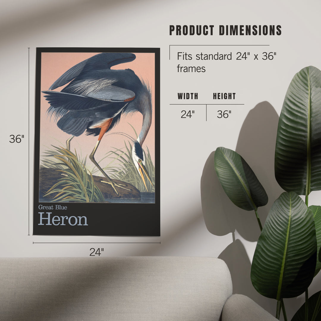 Audubon Birds of North America, Blue Heron, Art & Giclee Prints