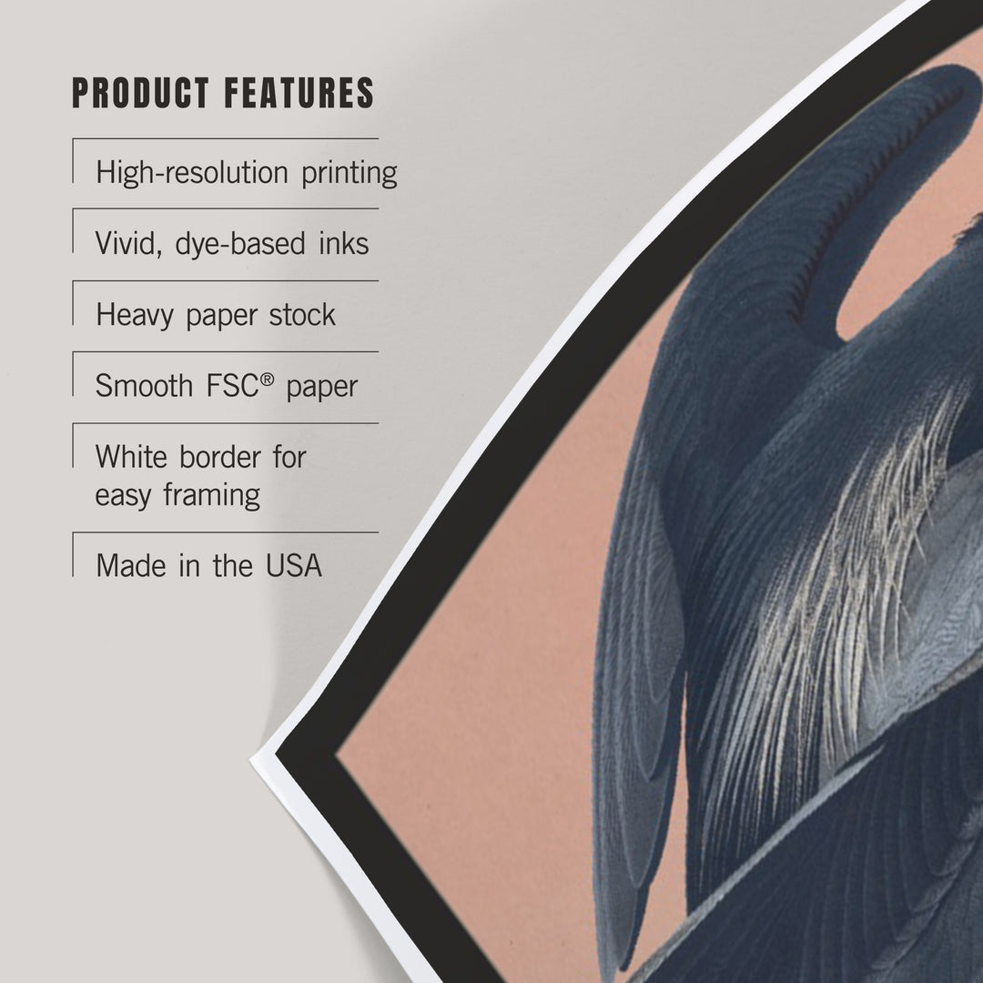 Audubon Birds of North America, Blue Heron, Art & Giclee Prints